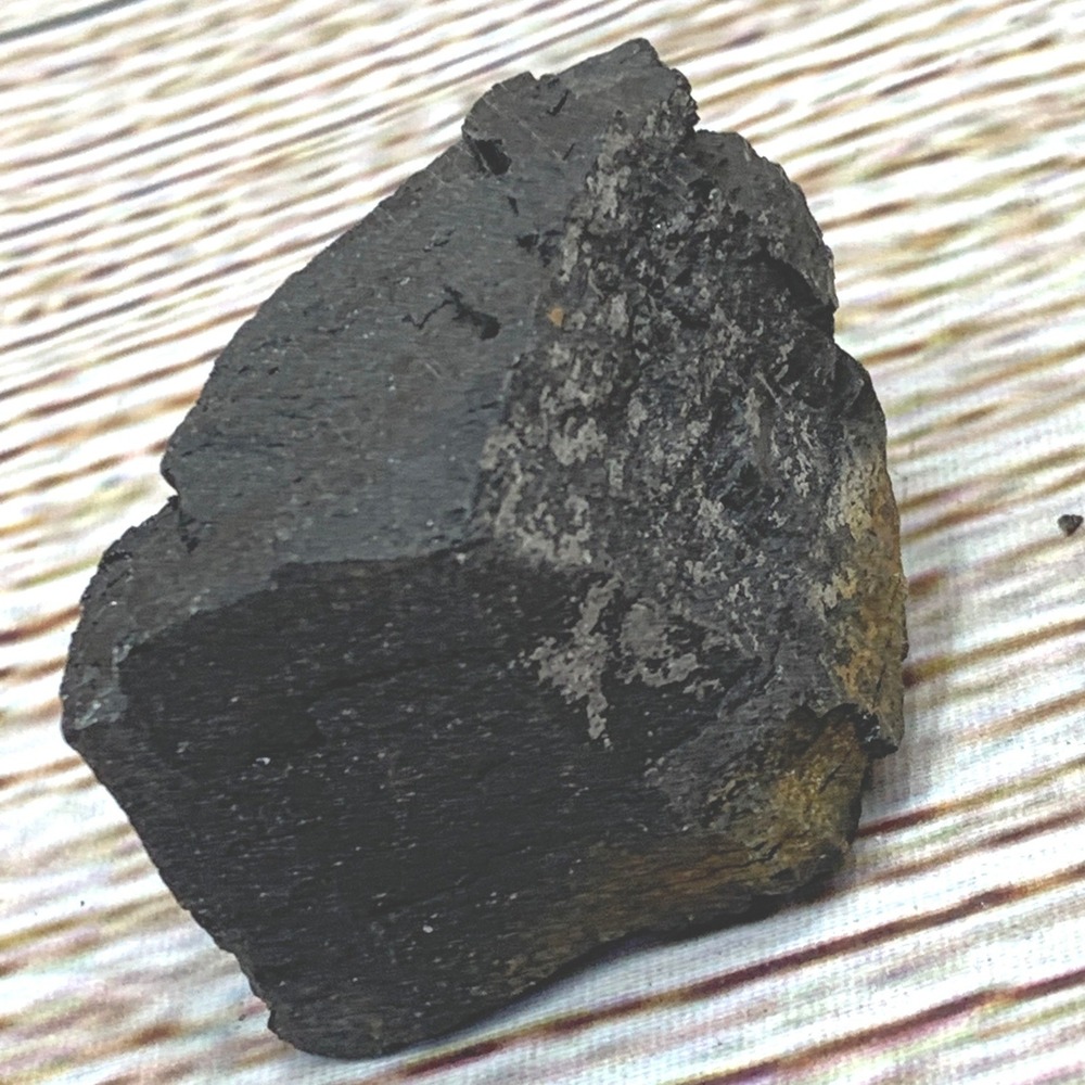 Natural Black Rock Specimen Geology Collectible Fossilized Organic Material